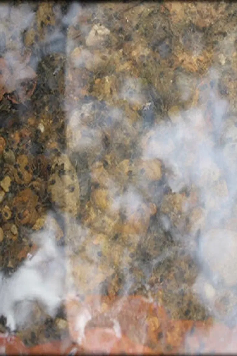 For Bruce poster background