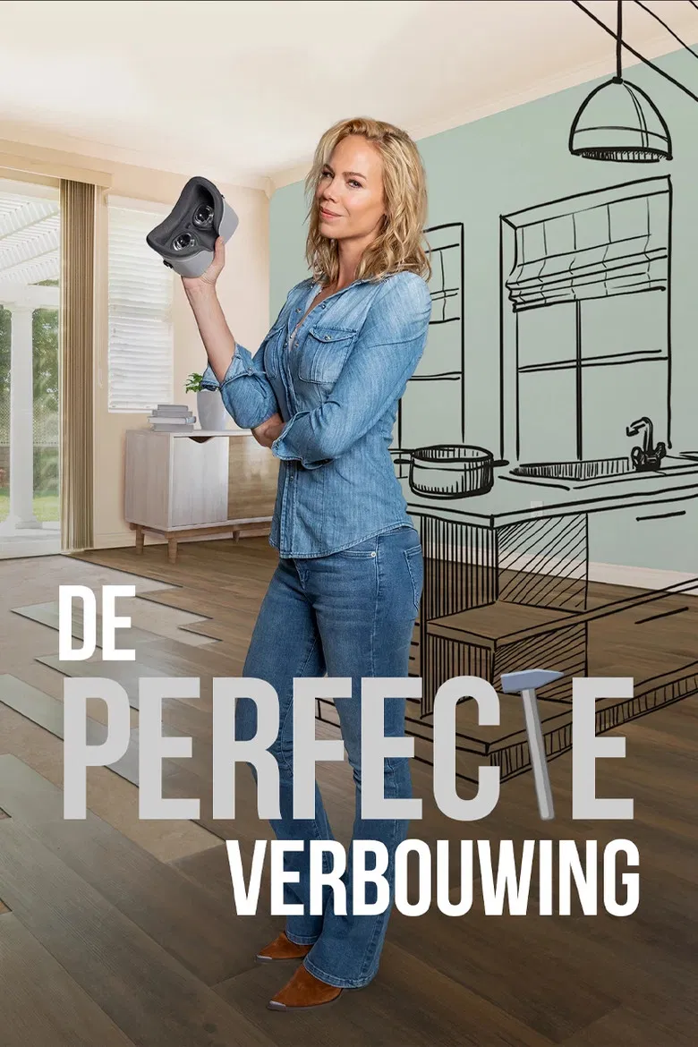 De Perfecte Verbouwing poster background