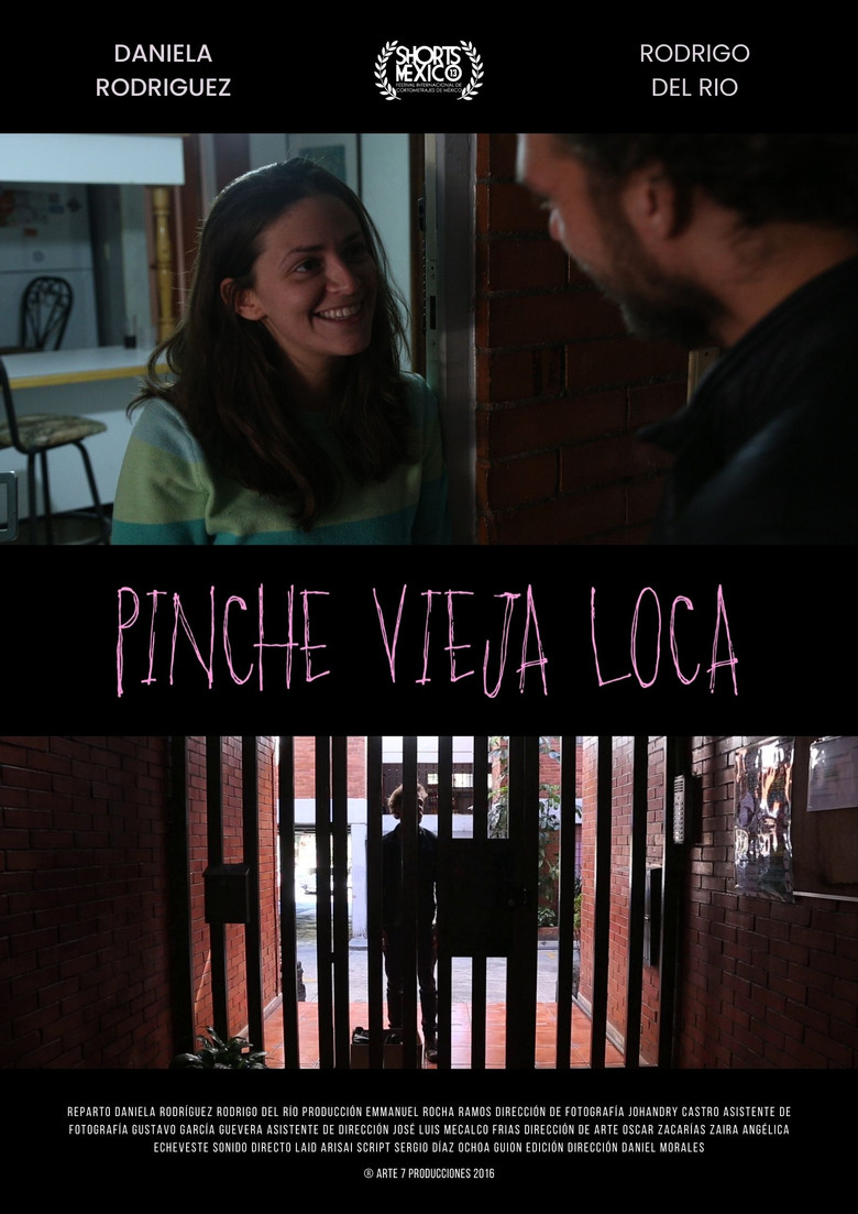 Pinche Vieja Loca poster background