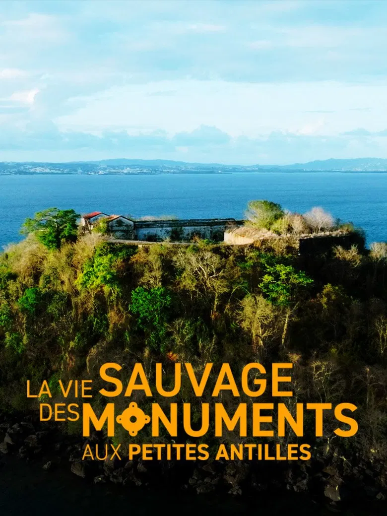 La vie sauvage des monuments aux Petites Antilles poster background