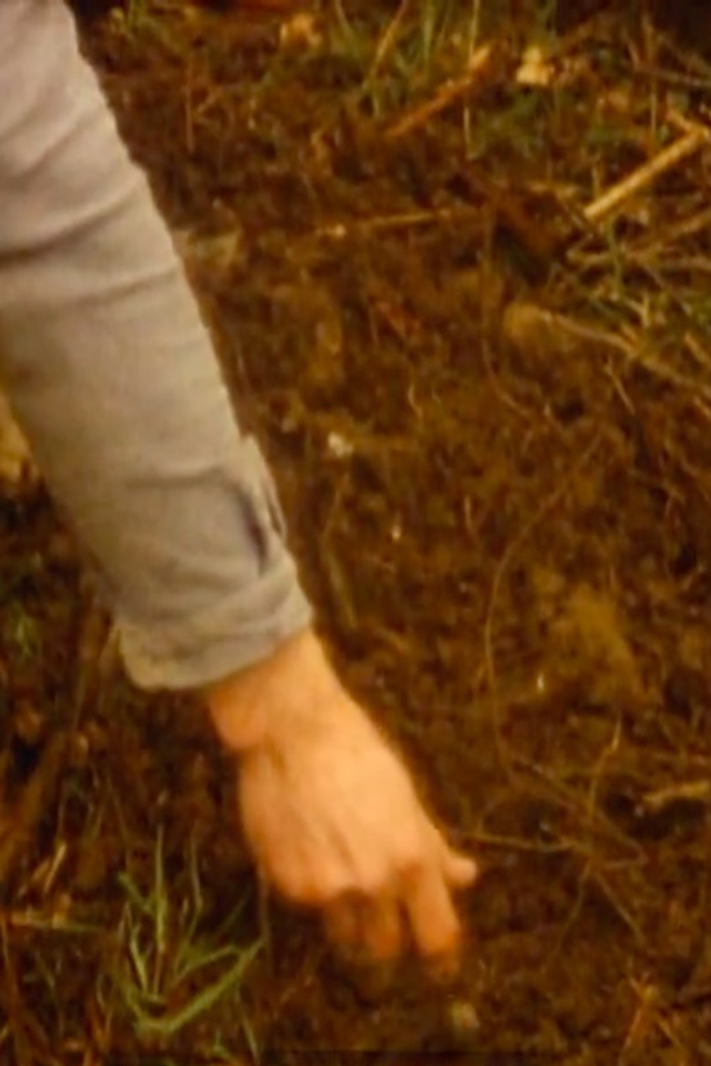 Tree of life poster background