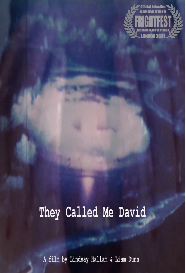 They Called Me David poster background