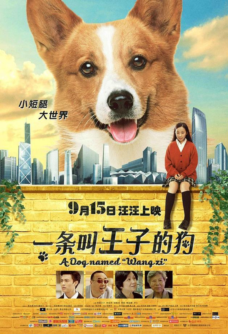 A Dog Named Wang Zi poster background
