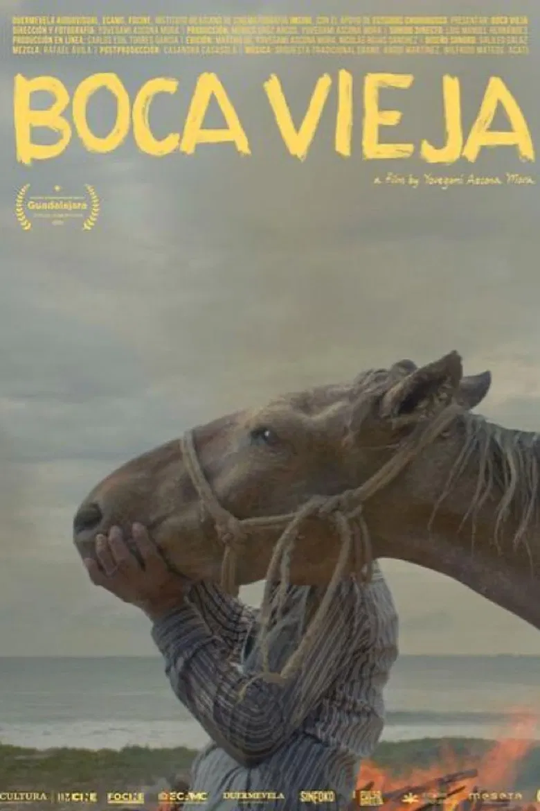 Boca Vieja poster background
