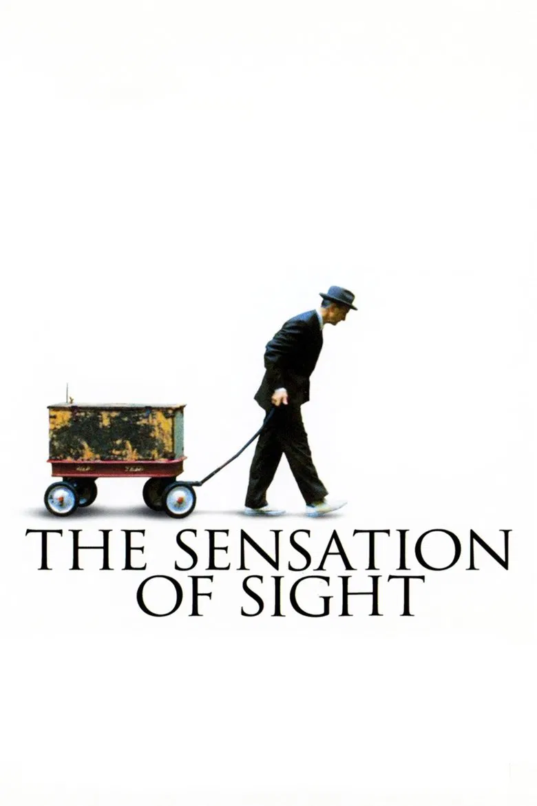 The Sensation of Sight poster background