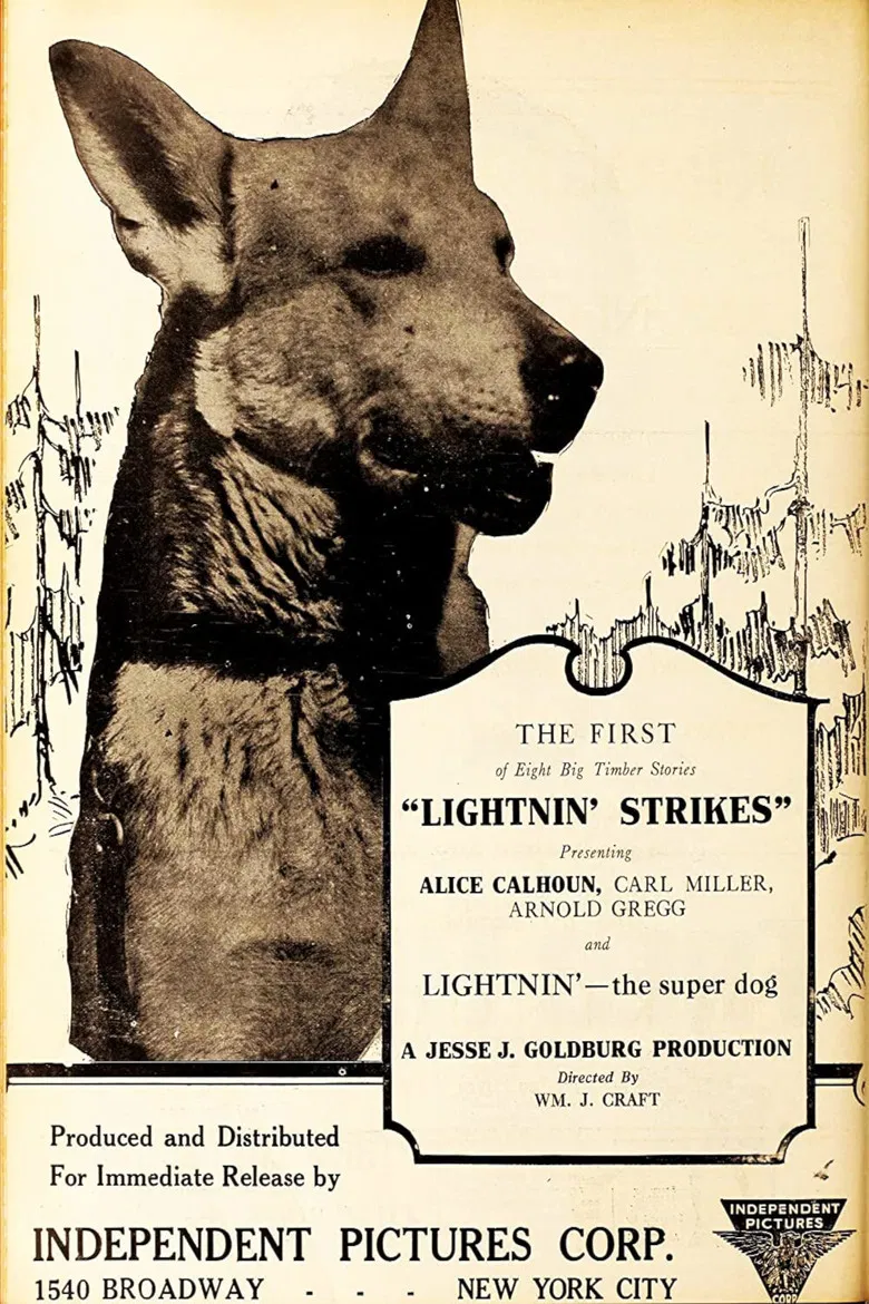 Lightnin' Strikes poster background
