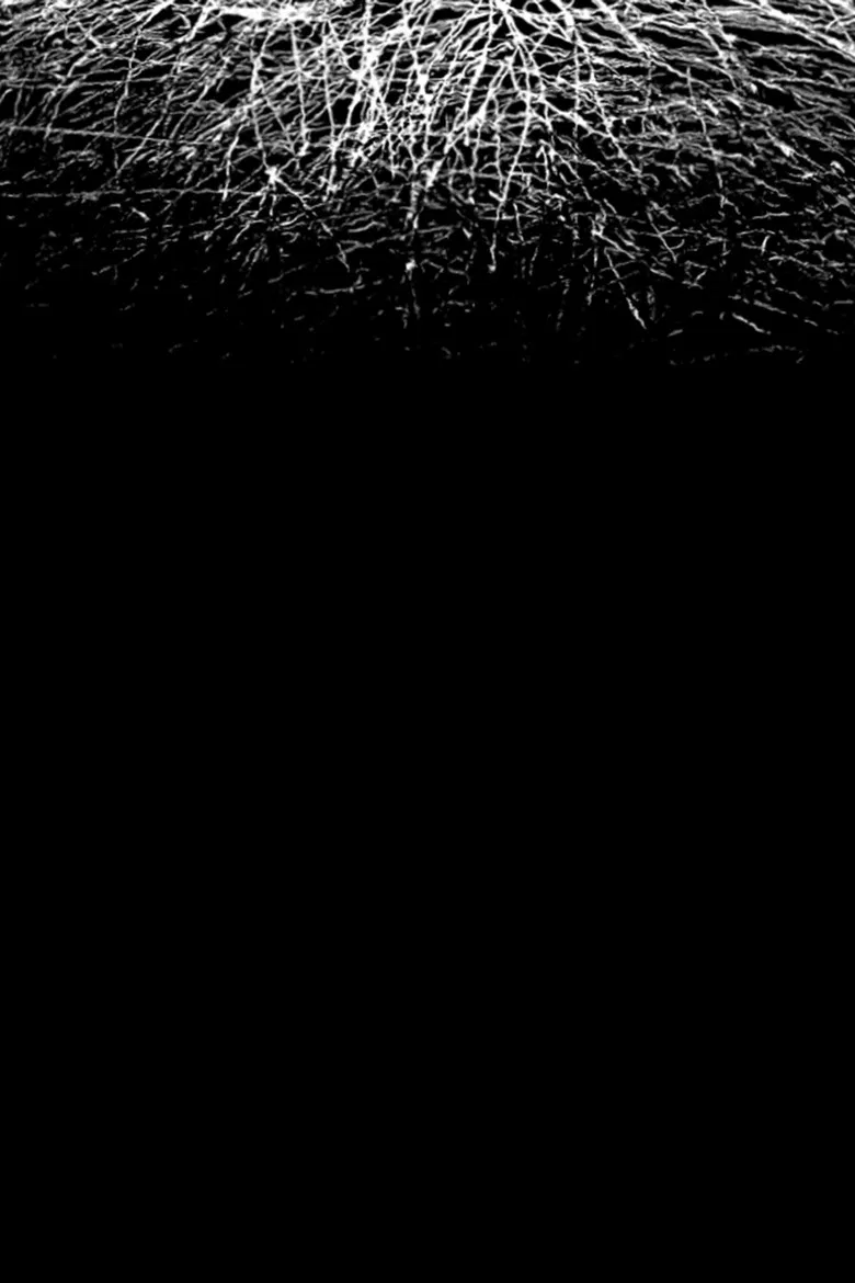 For When I Think, There is This Heaviness That I Would Rather You Not Carry poster background