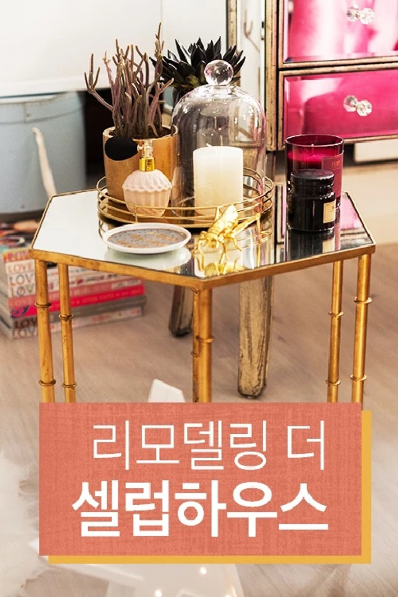 리모델링 the 셀럽 하우스 poster background