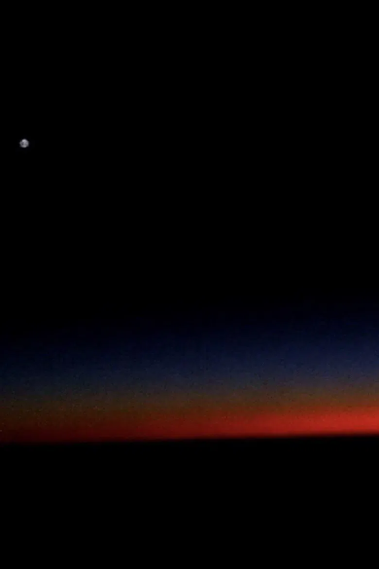 Nivose poster background