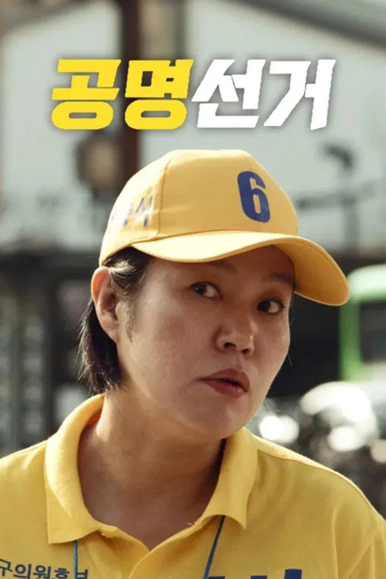 Fair Election poster background