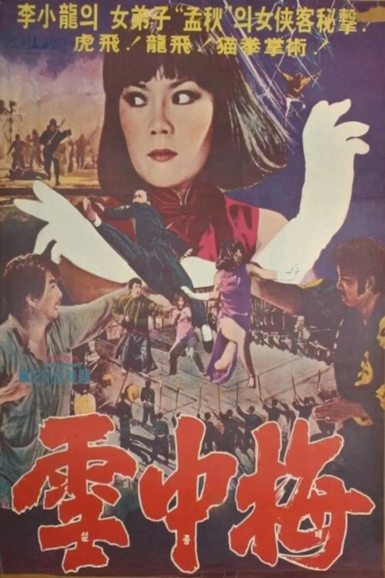 Snow Plum Blossom poster background