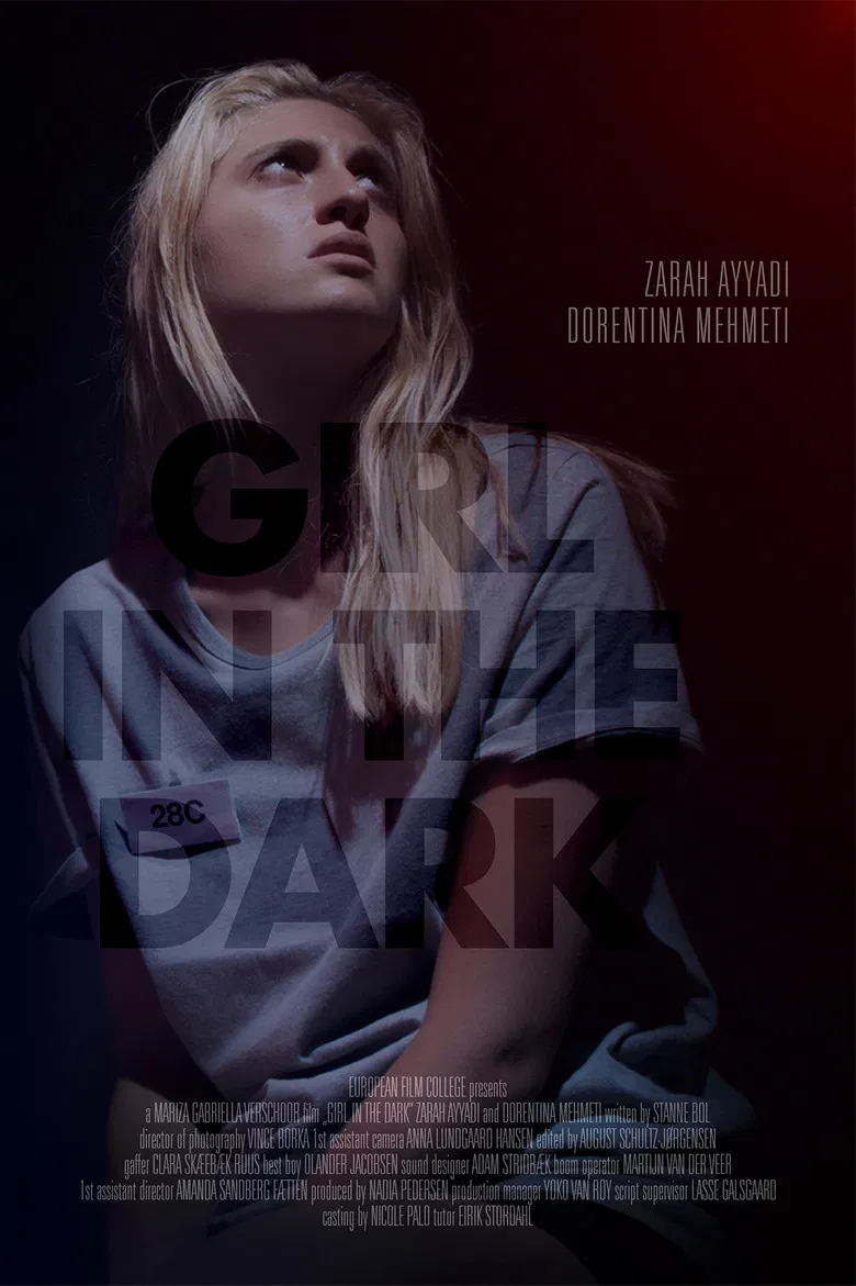 Girl in the Dark poster background
