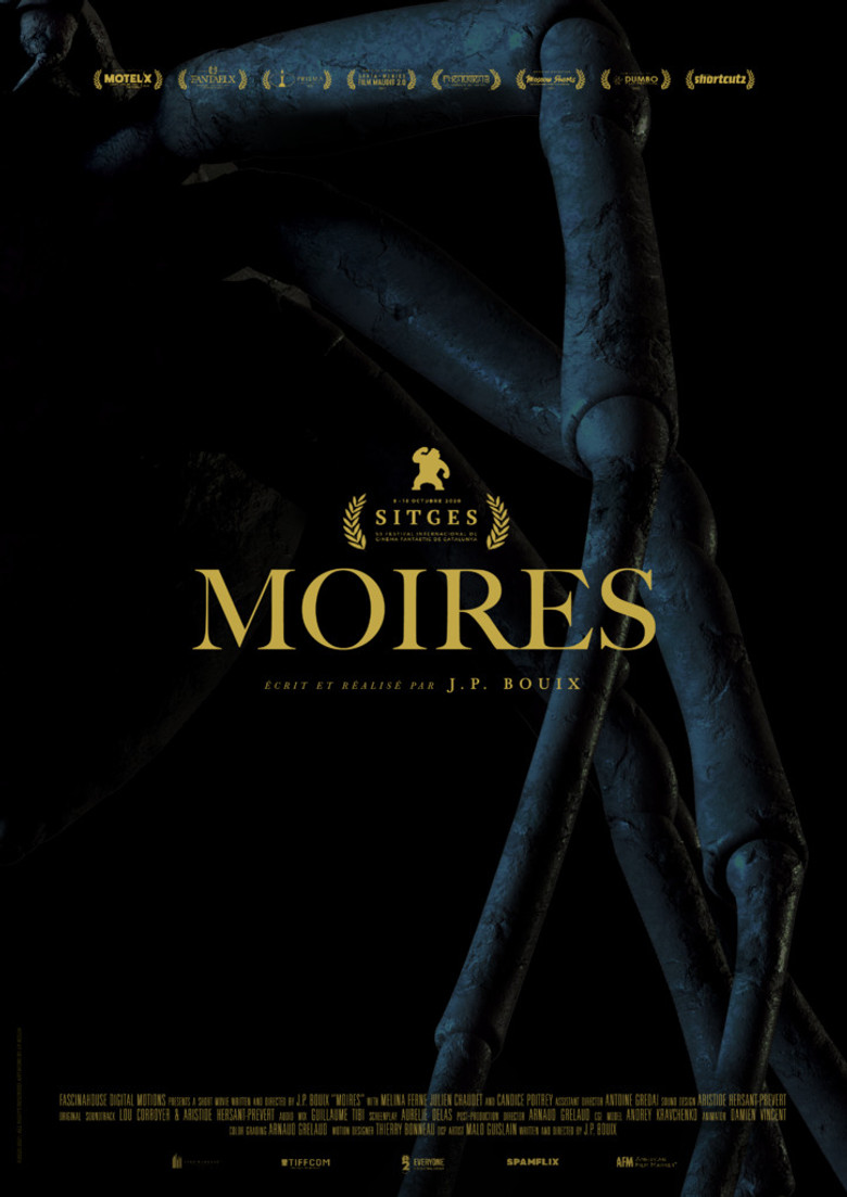 Moires poster background