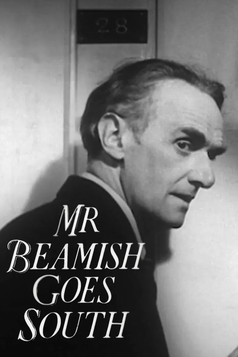 Mr Beamish Goes South poster background