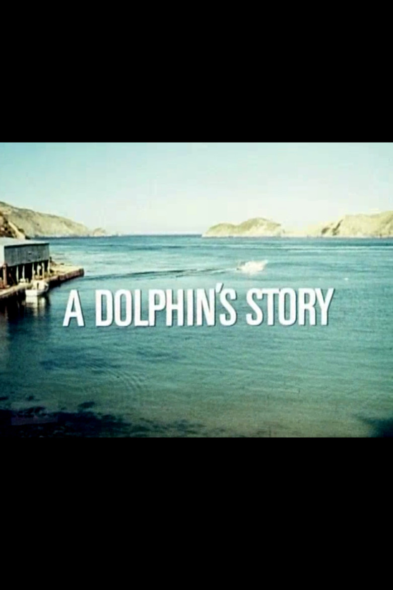 A Dolphin's Story poster background