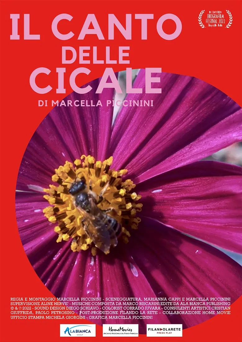 IL CANTO DELLE CICALE poster background