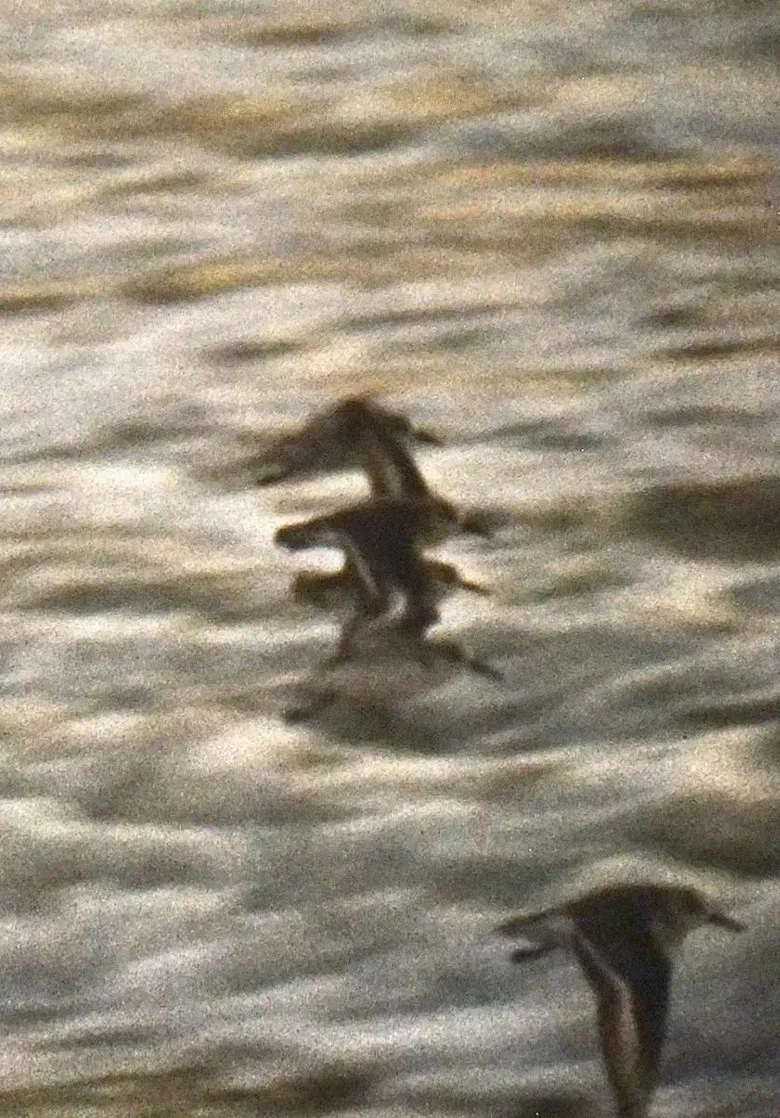 Four Diamonds poster background