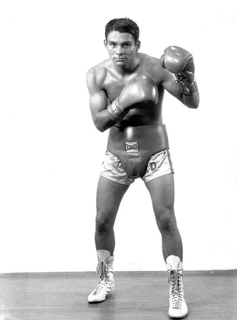 Fists of a Nation poster background