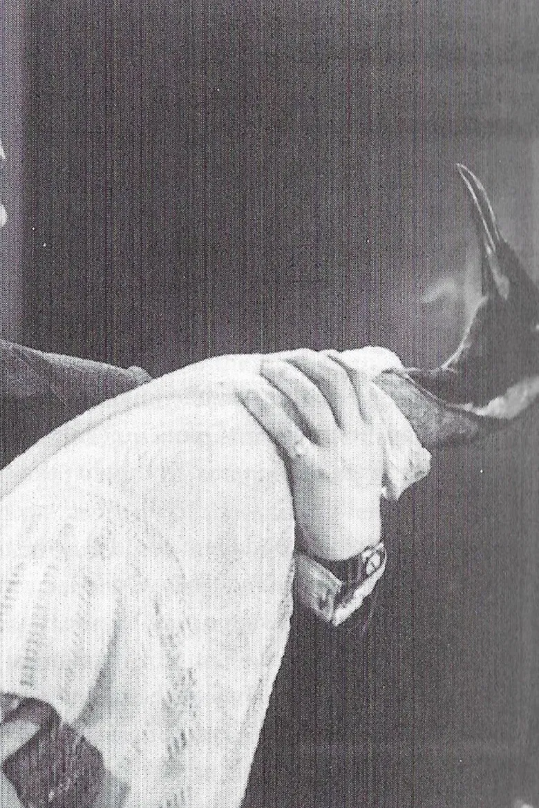 To Brighton with Gladys poster background