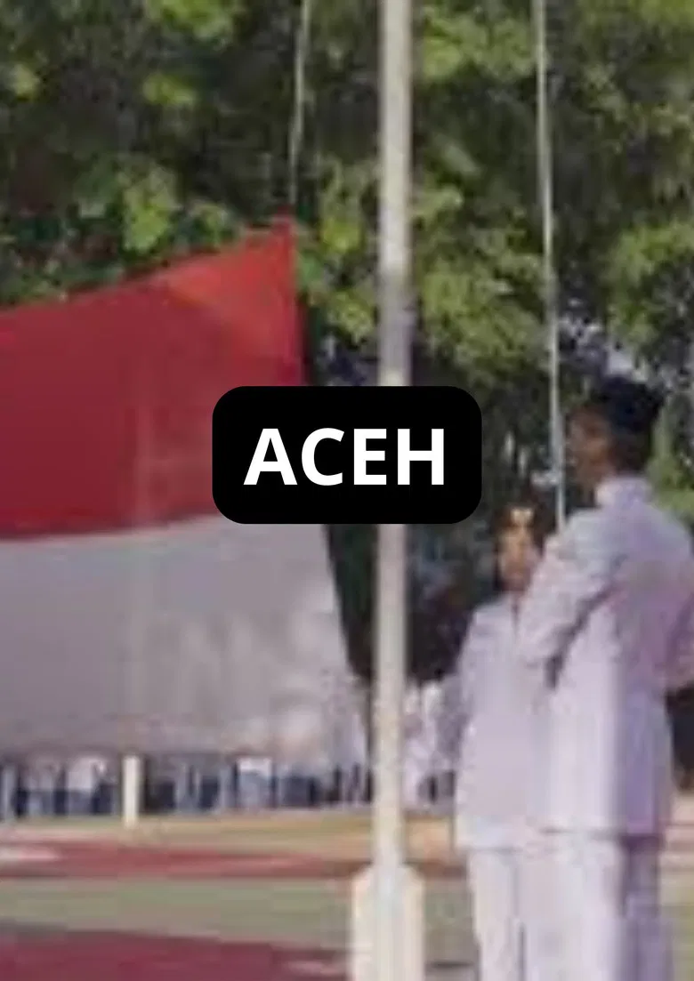 ACEH poster background