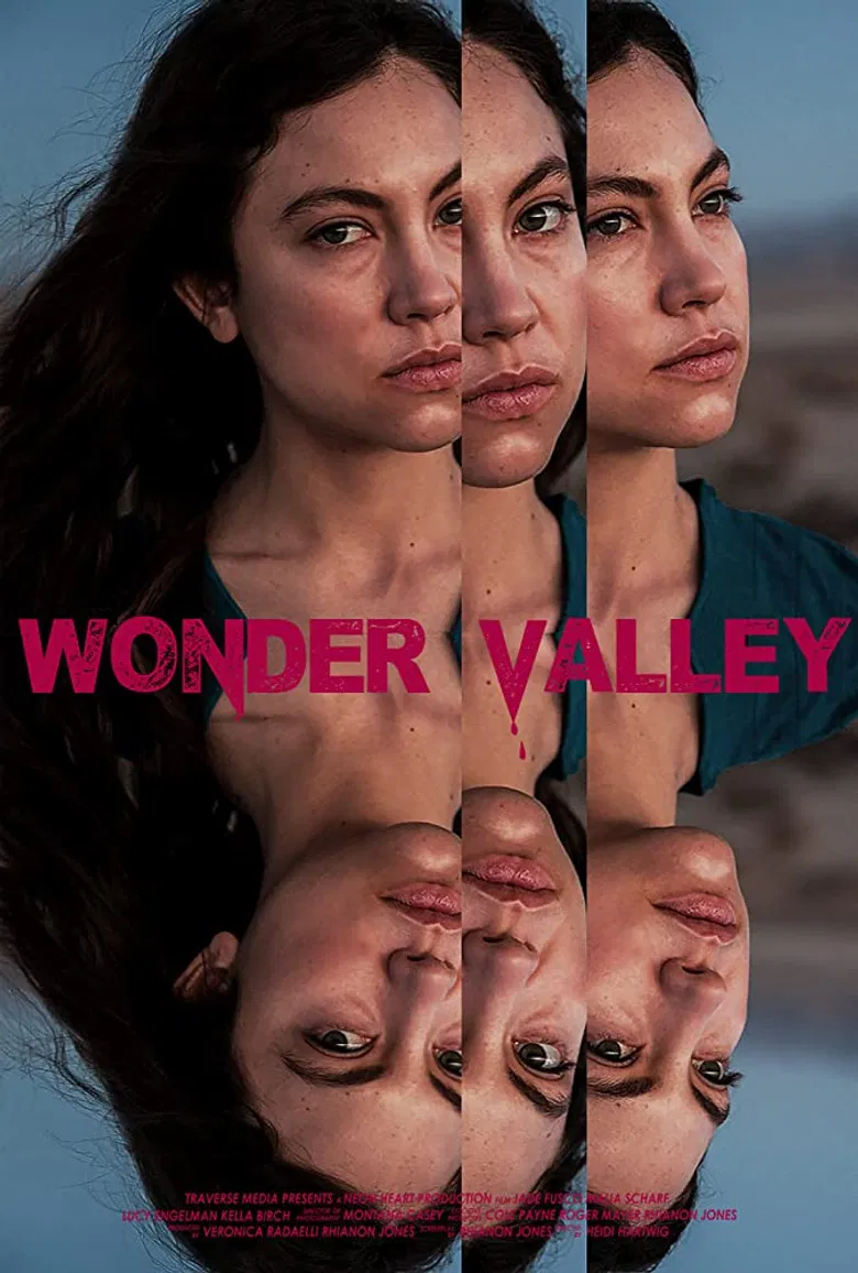 Wonder Valley poster background