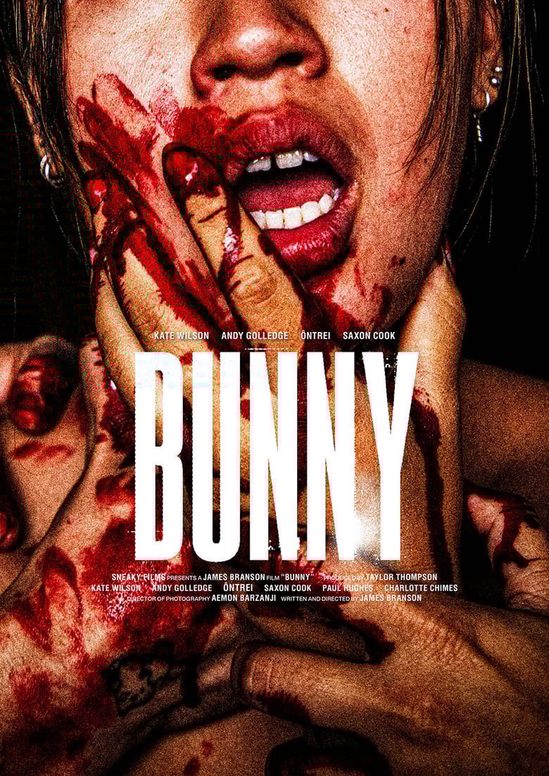 Bunny poster background