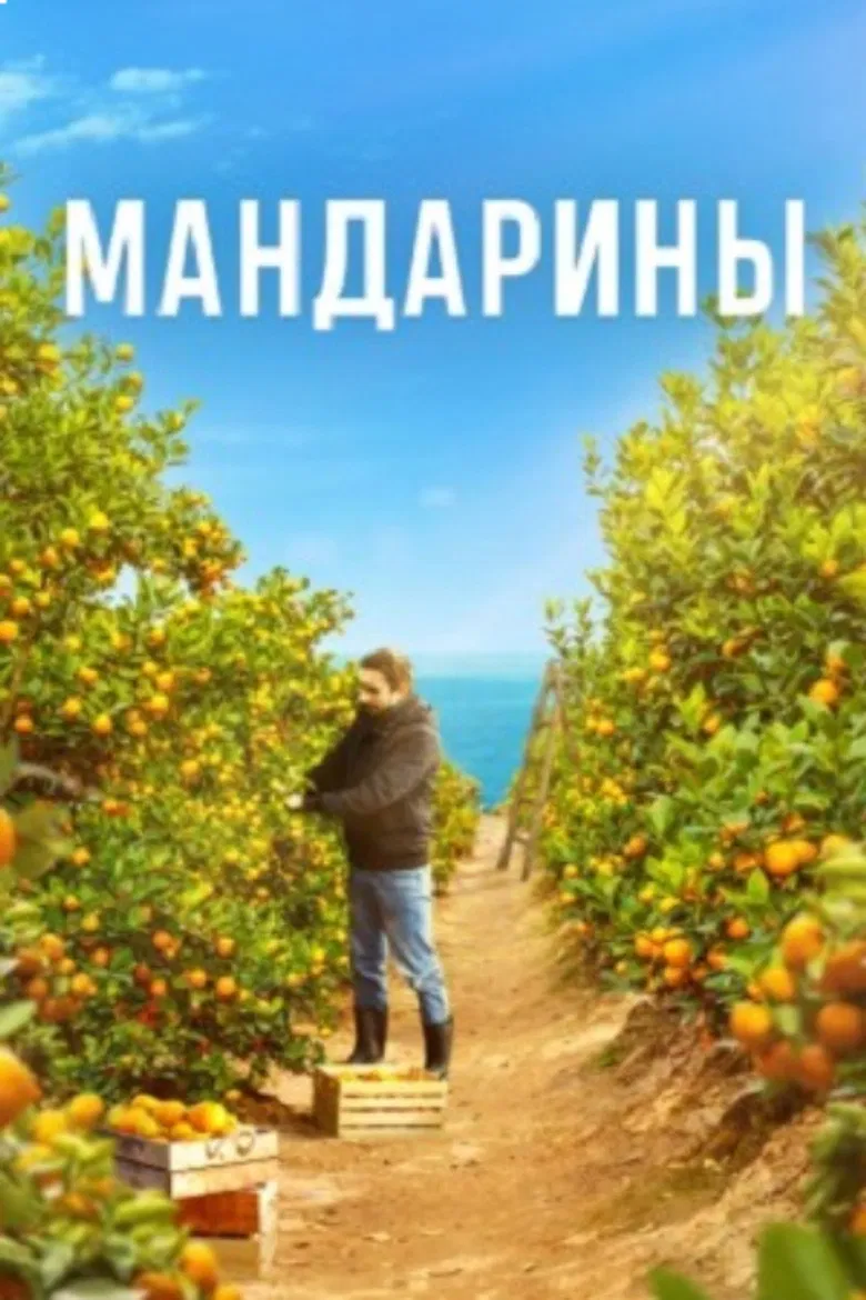 Mandarins poster background