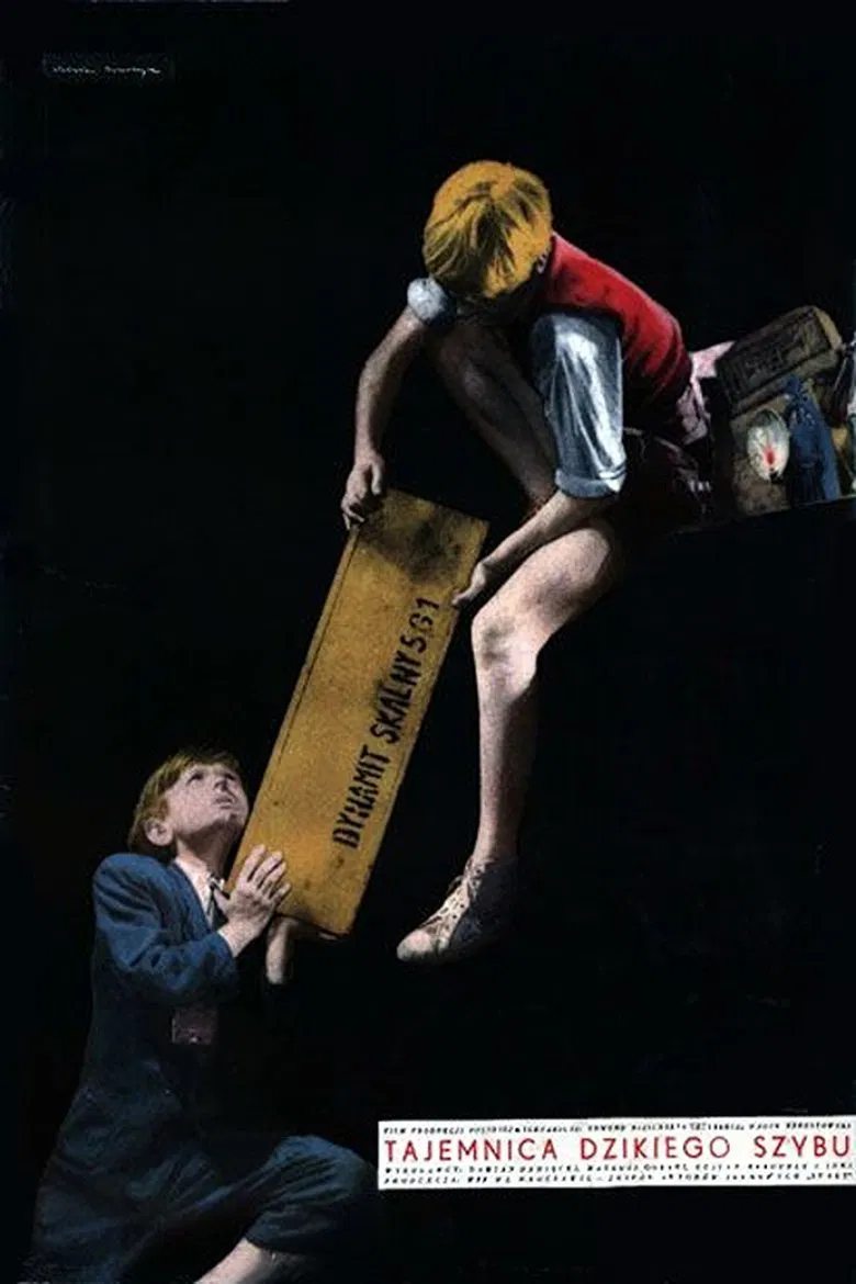 Tajemnica dzikiego szybu poster background