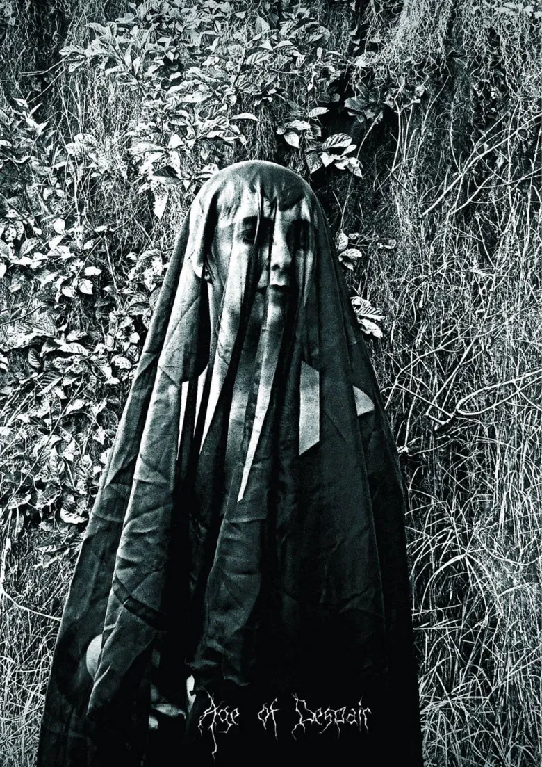 Age of Despair poster background