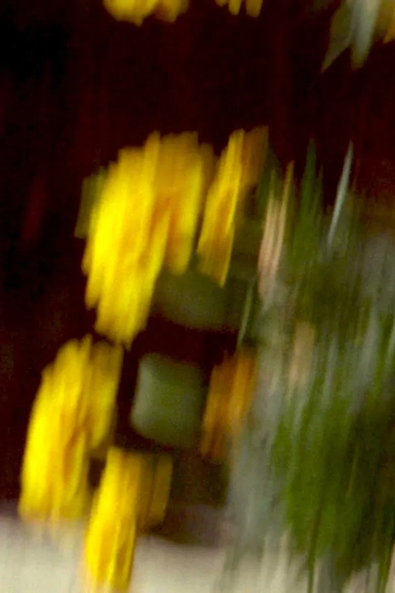 Garden Variety poster background