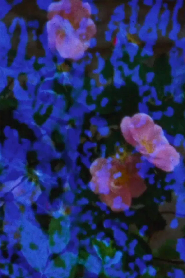 Events in the Tunnel poster background