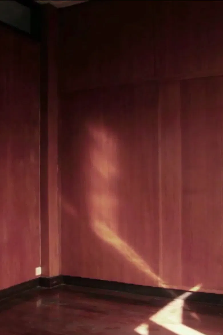 Passing Through the Night poster background