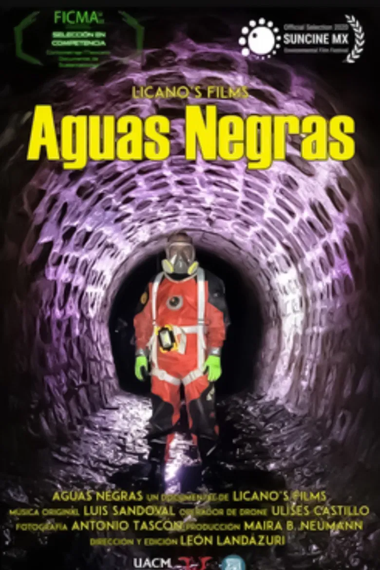 Aguas Negras poster background