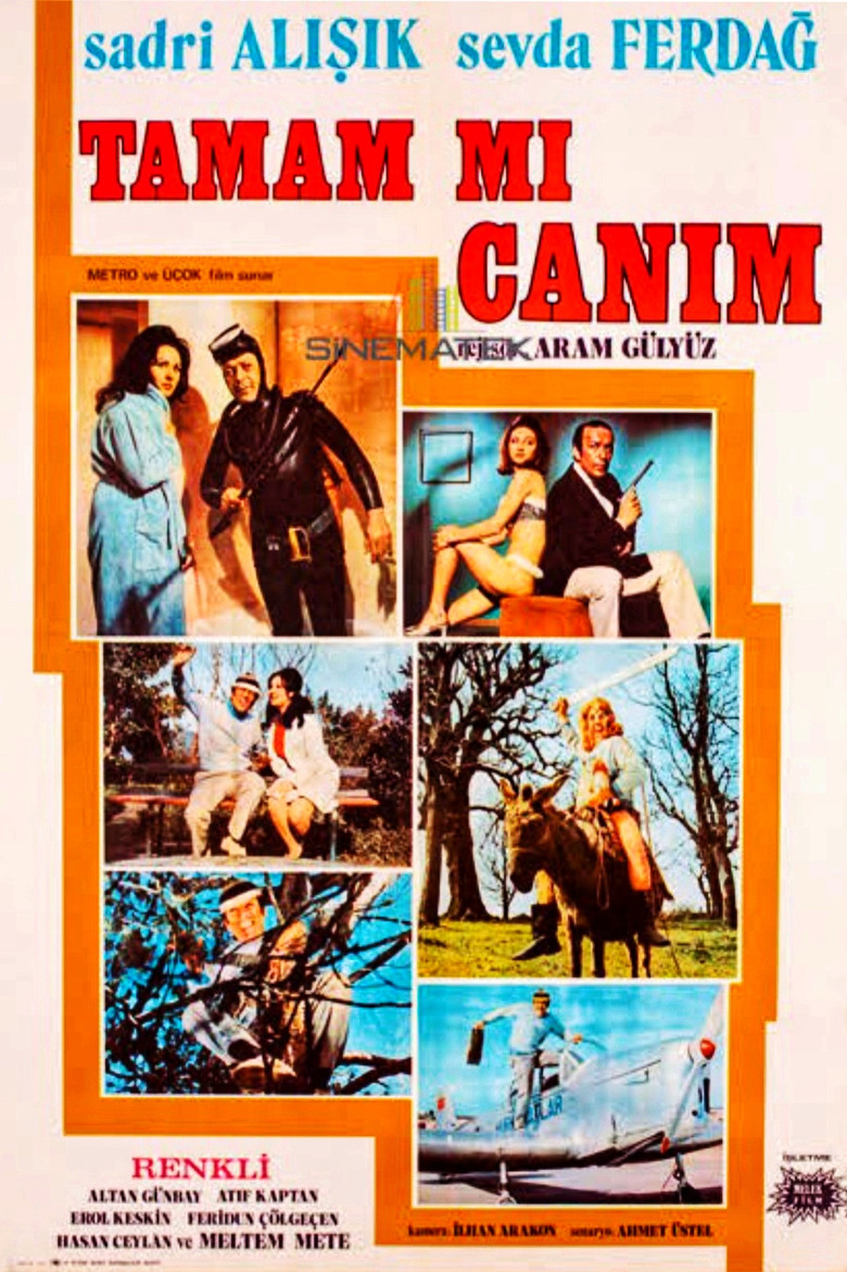 Tamam mı Canım poster background