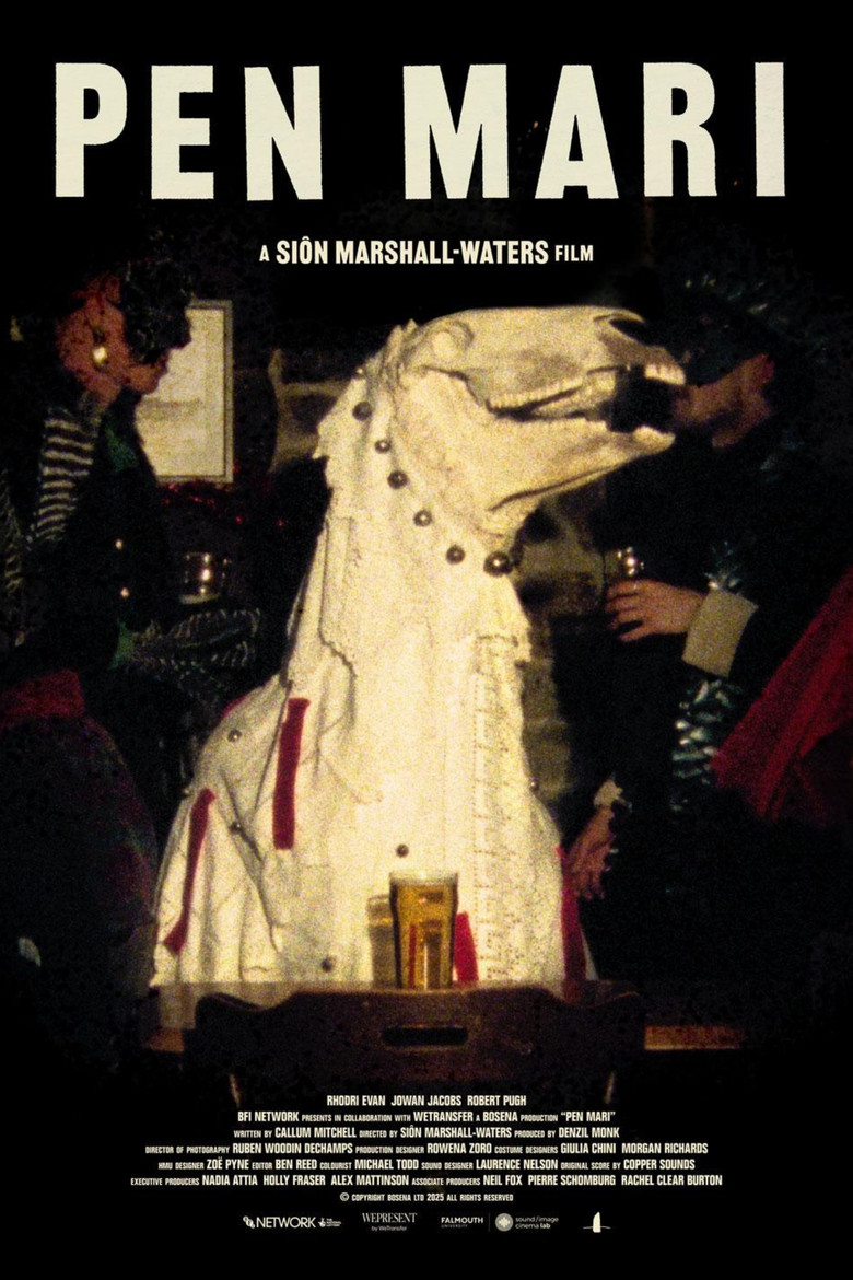 Pen Mari poster background