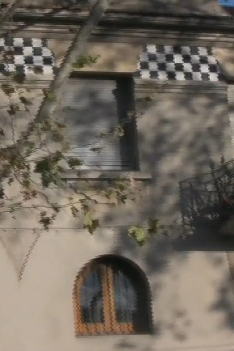 Sicómoro poster background