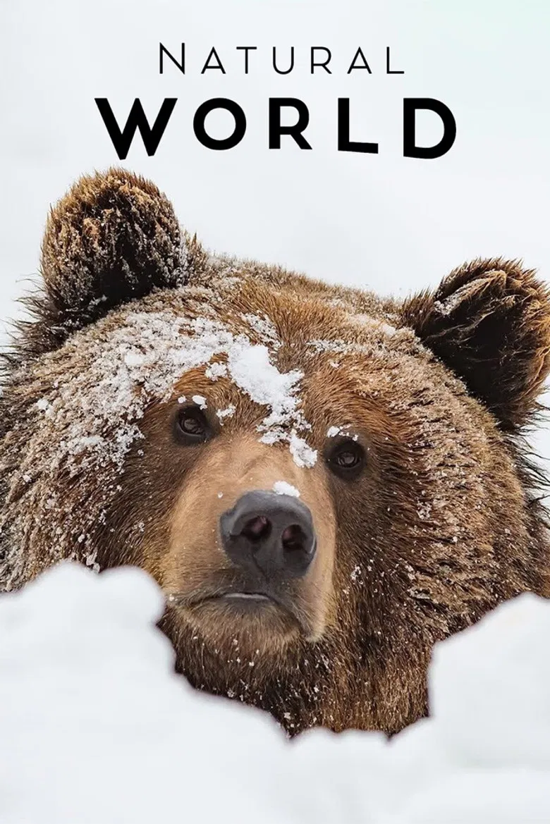 France: The Wild Side poster background