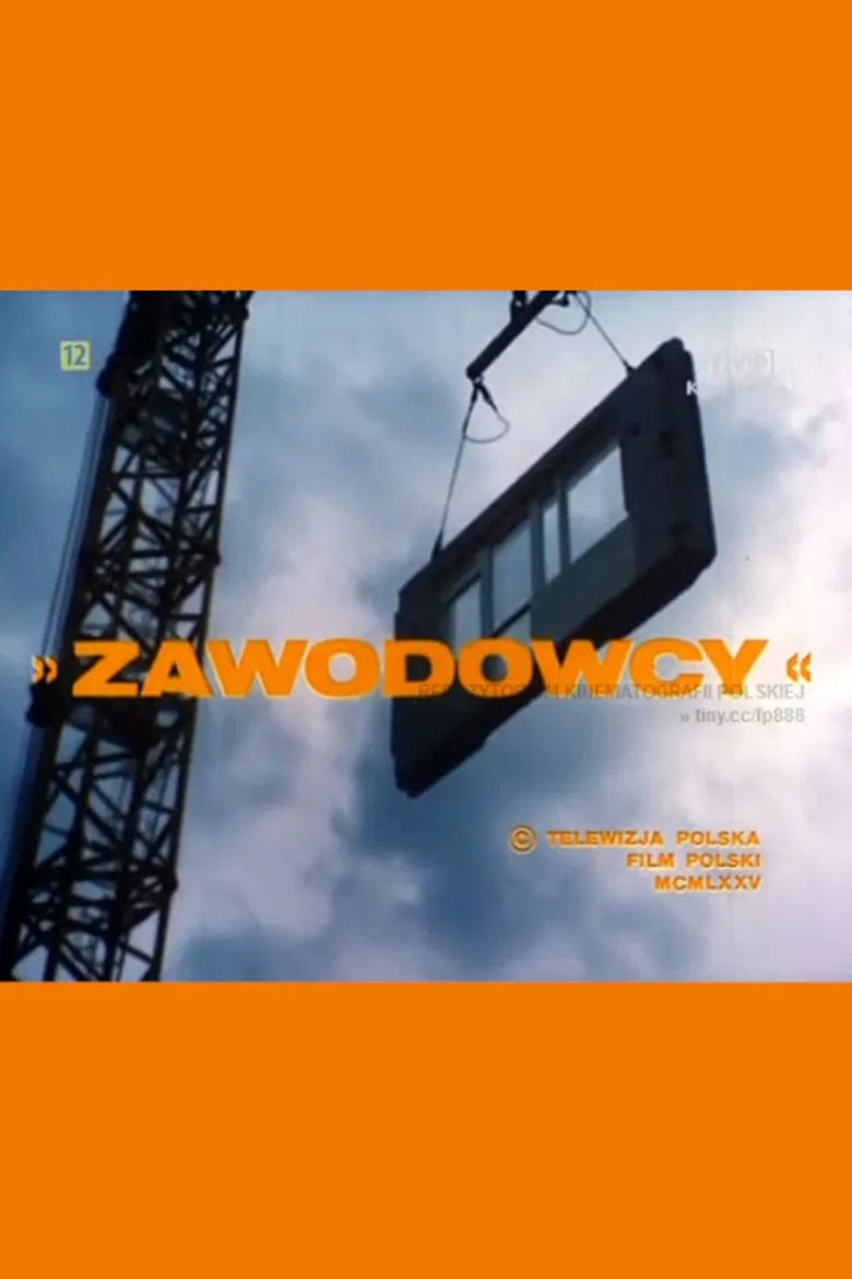 Zawodowcy poster background