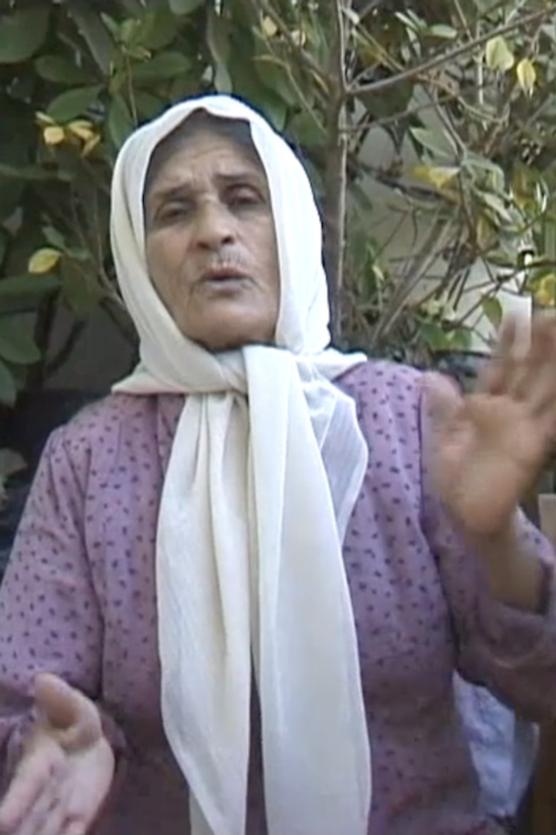 untitled part 3a: occupied territories poster background