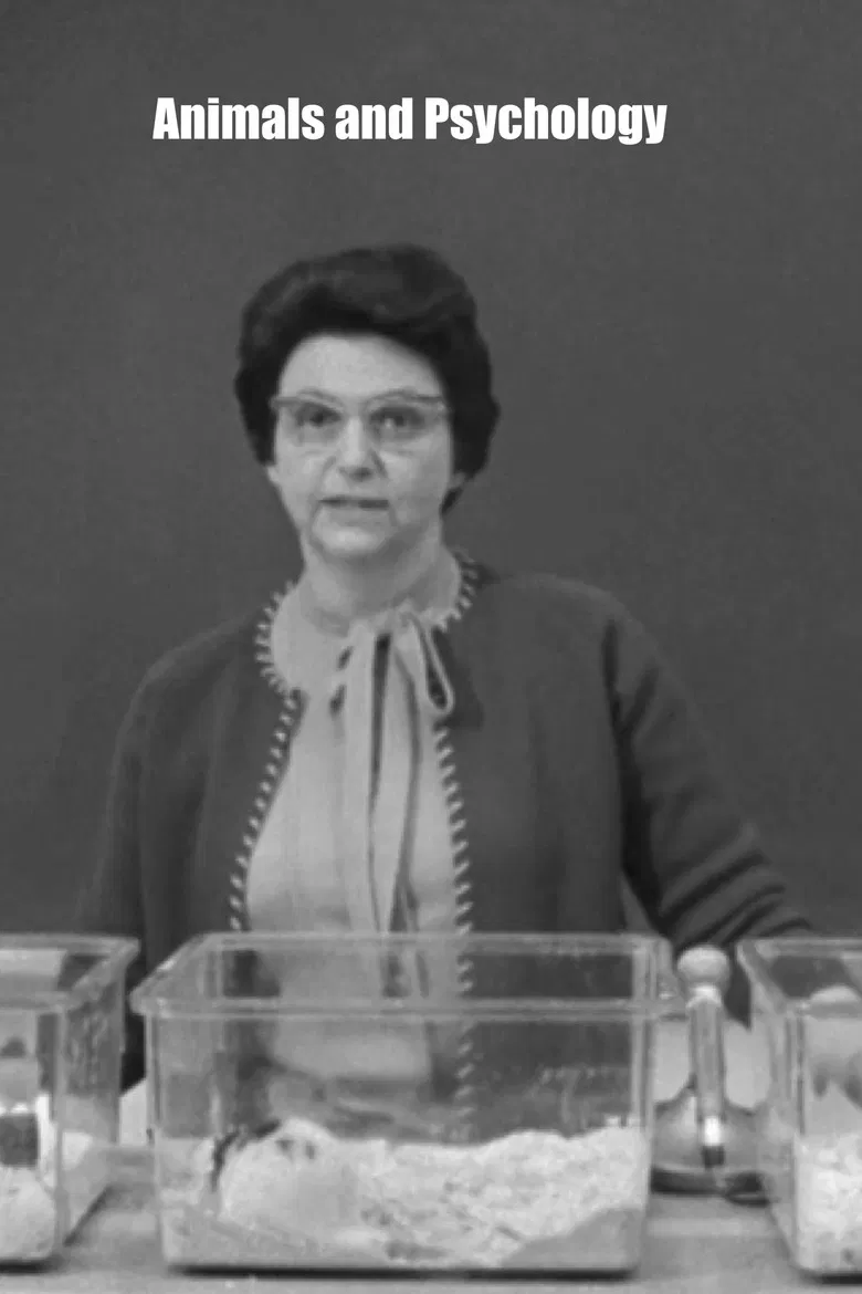 Animals and Psychology poster background