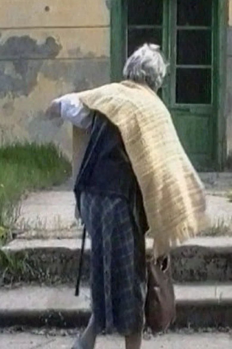 The Notebook of a Lady poster background