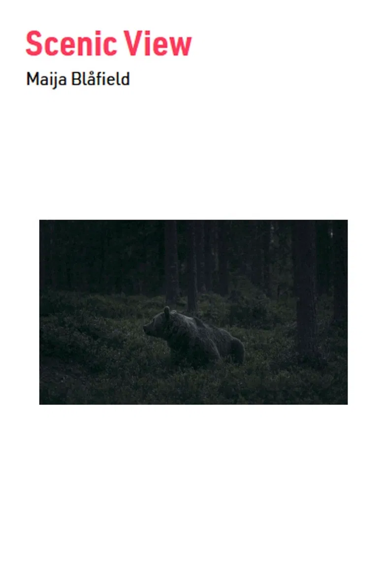 Scenic View poster background