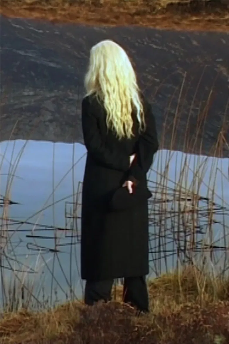 The Irreducible Difference of the Other poster background