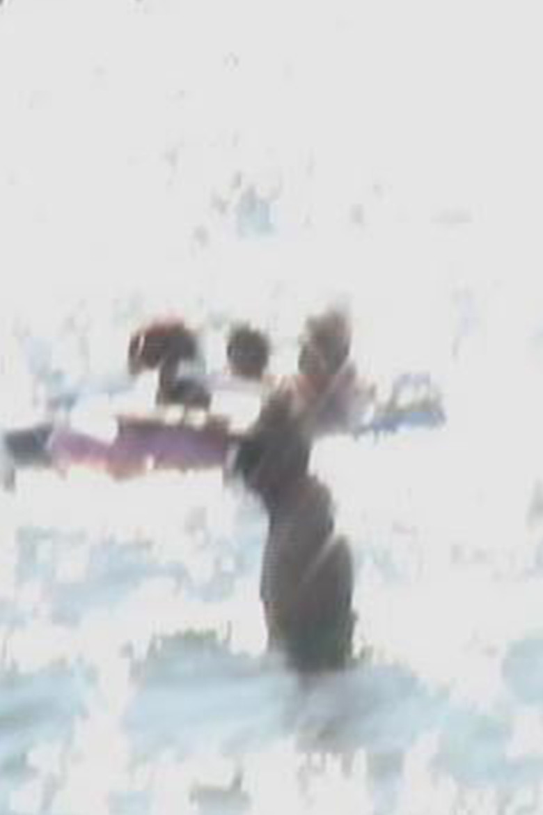 Endless Summer End poster background