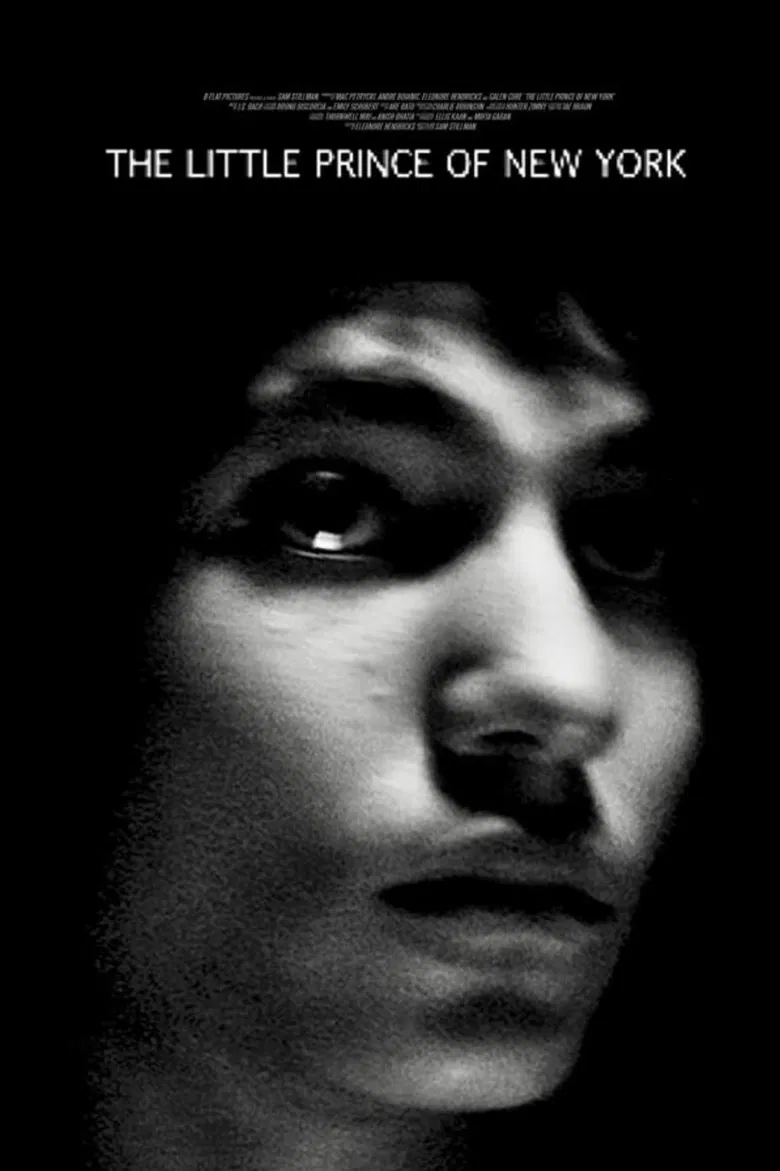 The Little Prince of New York poster background