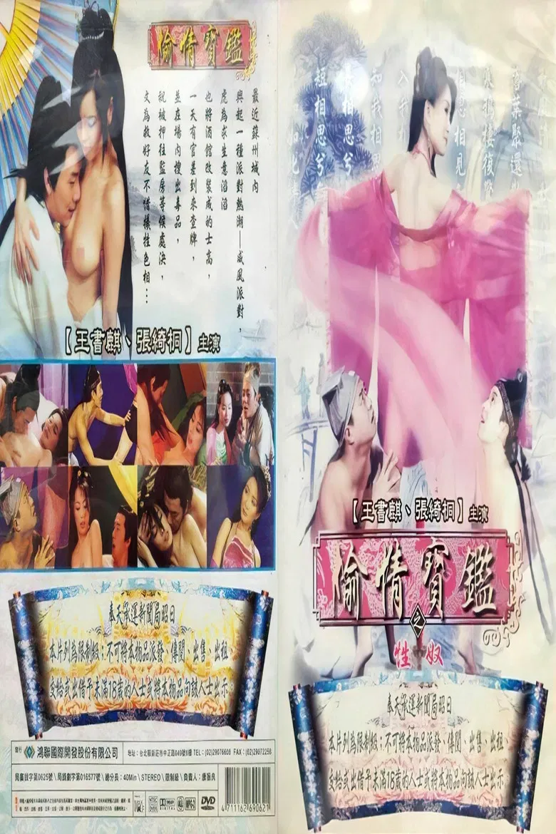 偷情宝鉴之性奴 poster background