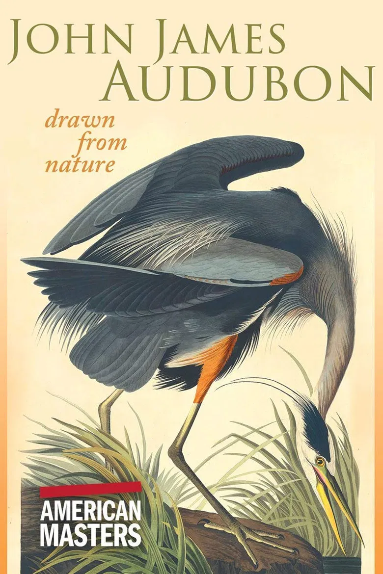 John James Audubon: Drawn From Nature poster background