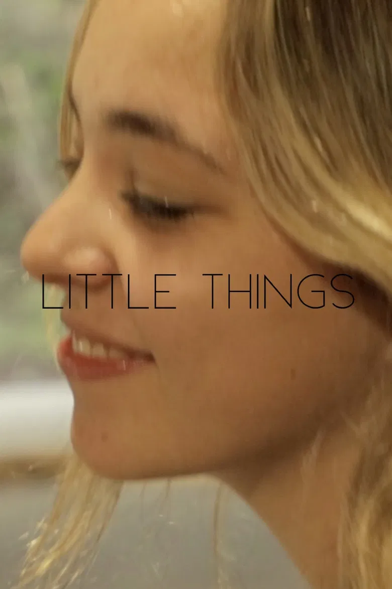 Little Things poster background