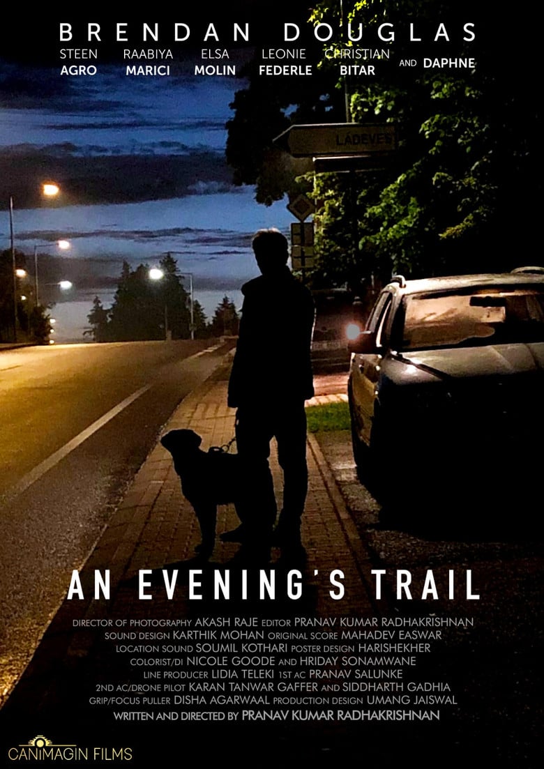 An Evening's Trail poster background
