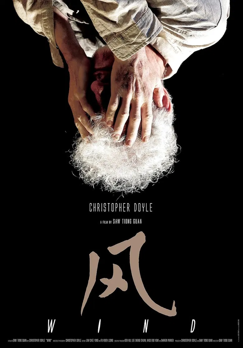 Wind poster background